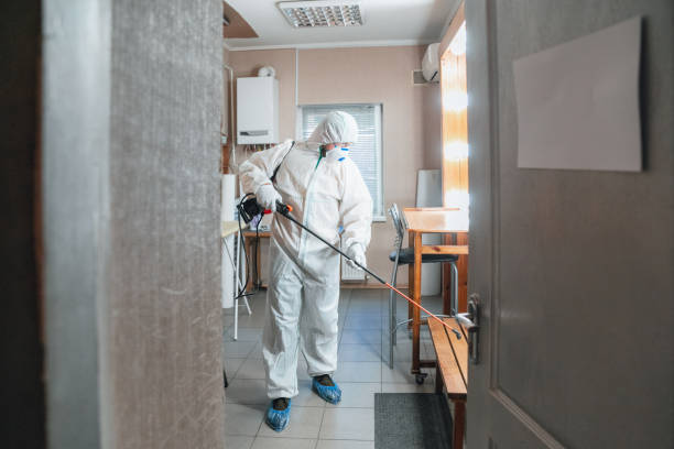 Best Commercial Mold Inspection  in North Windham, ME