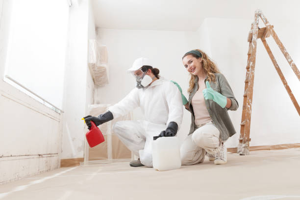 Best Emergency Mold Remediation  in North Windham, ME